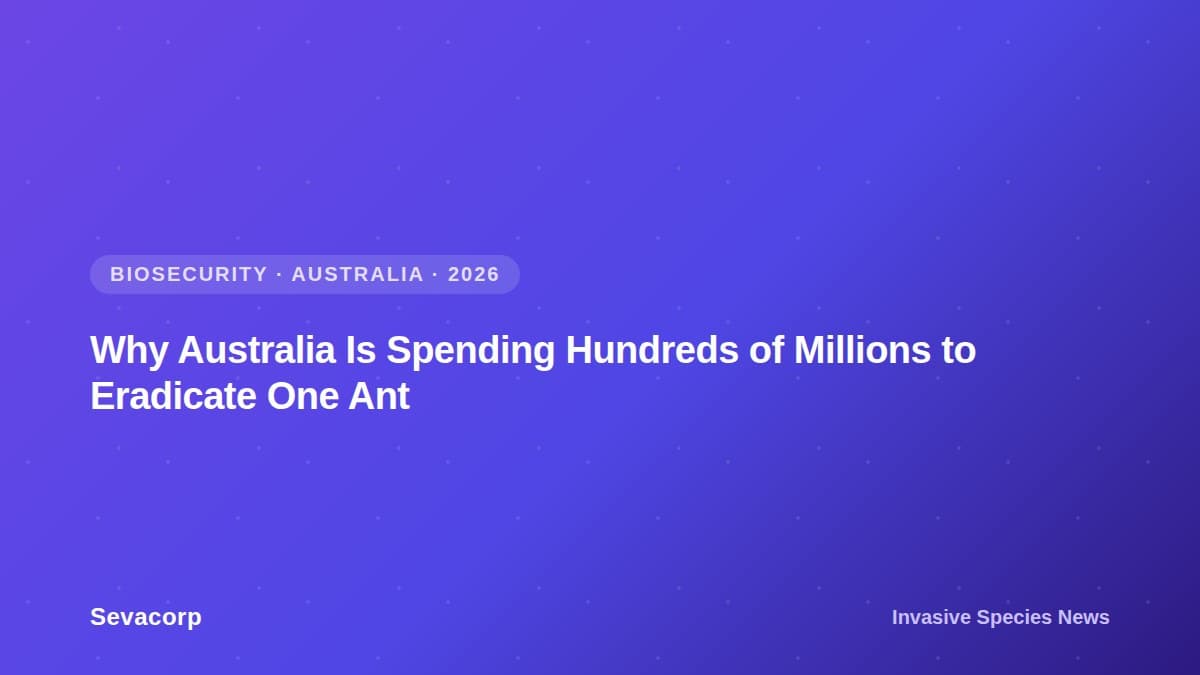 Graphic reading "Why Australia Is Spending Hundreds of Millions to Eradicate One Ant", tagged Biosecurity, Australia, 2026