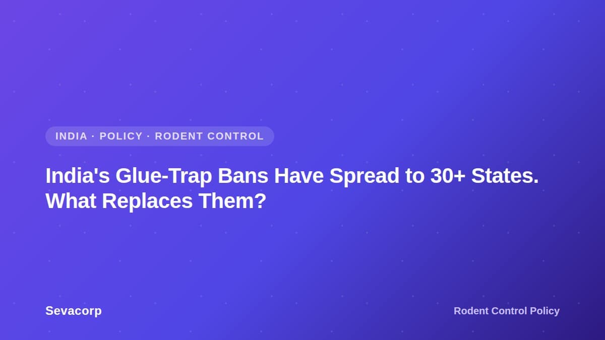 Graphic reading 'India's Glue-Trap Bans Have Spread to 30+ States. What Replaces Them?', tagged India, Policy, Rodent Control
