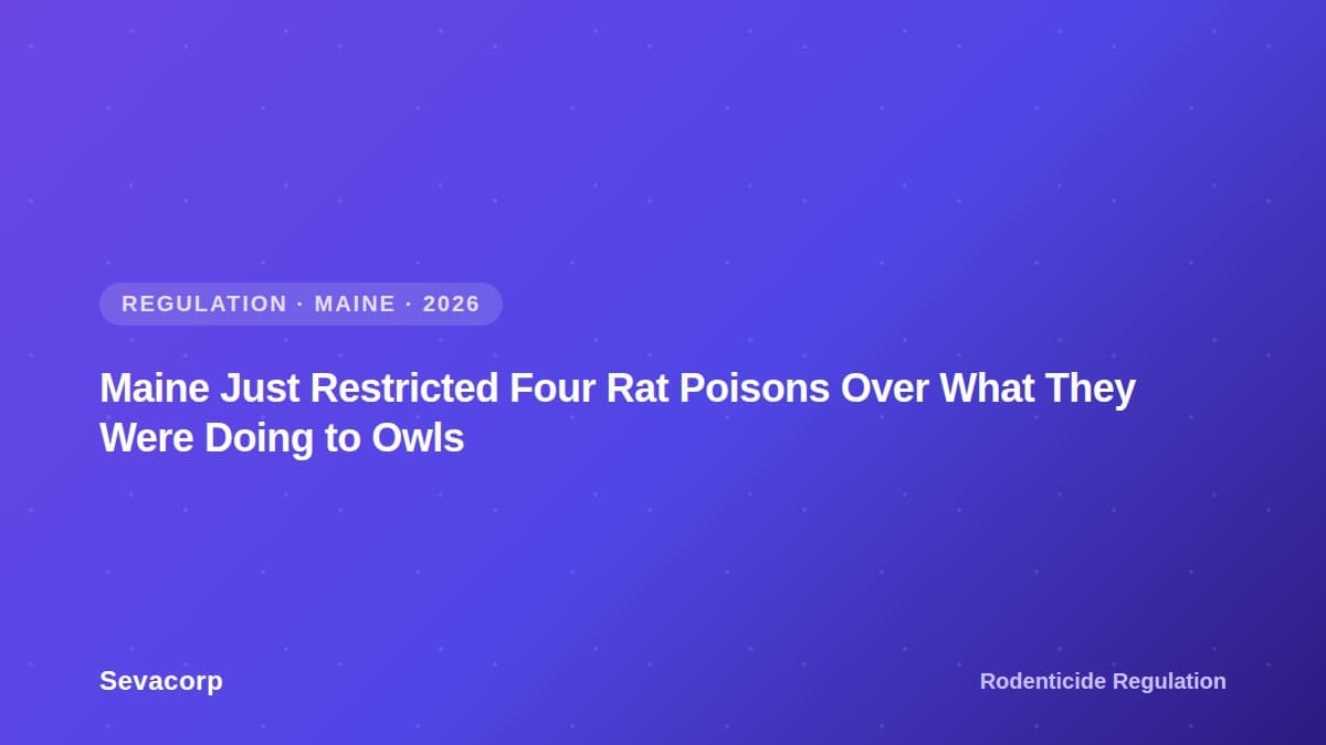 Graphic reading "Maine Just Restricted Four Rat Poisons Over What They Were Doing to Owls", tagged Regulation, Maine, 2026