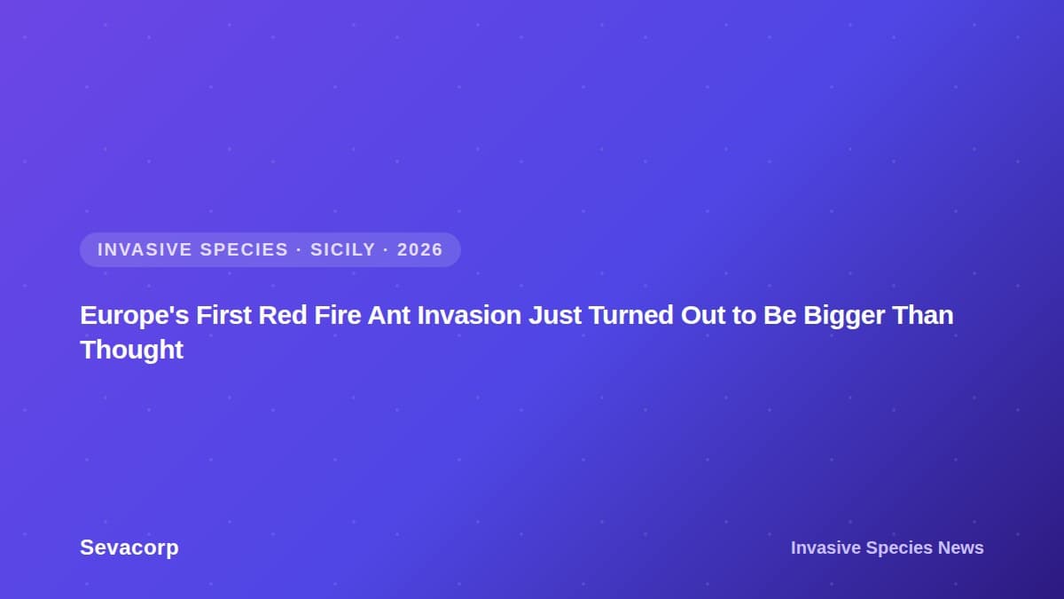 Graphic reading "Europe's First Red Fire Ant Invasion Just Turned Out to Be Bigger Than Thought", tagged Invasive Species, Sicily, 2026
