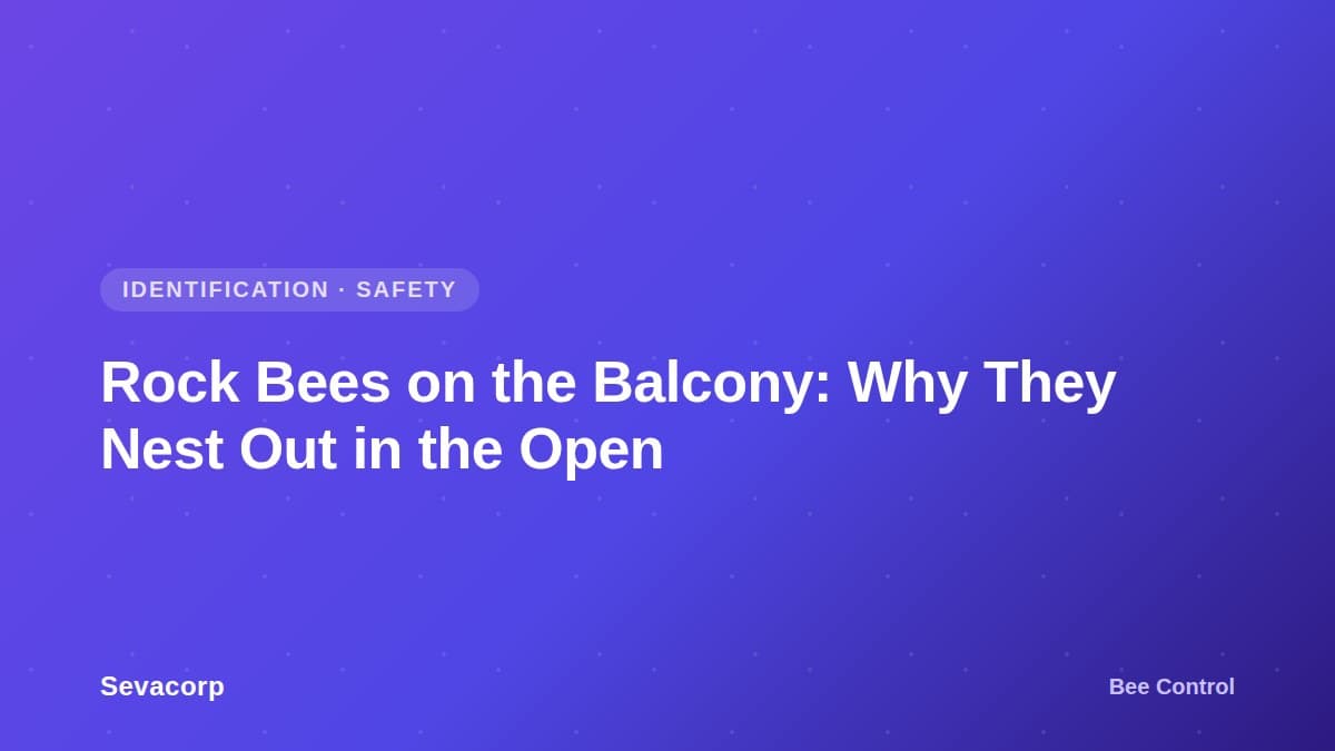Graphic reading 'Rock Bees on the Balcony: Why They Nest Out in the Open', tagged Bee Control, Identification and Safety