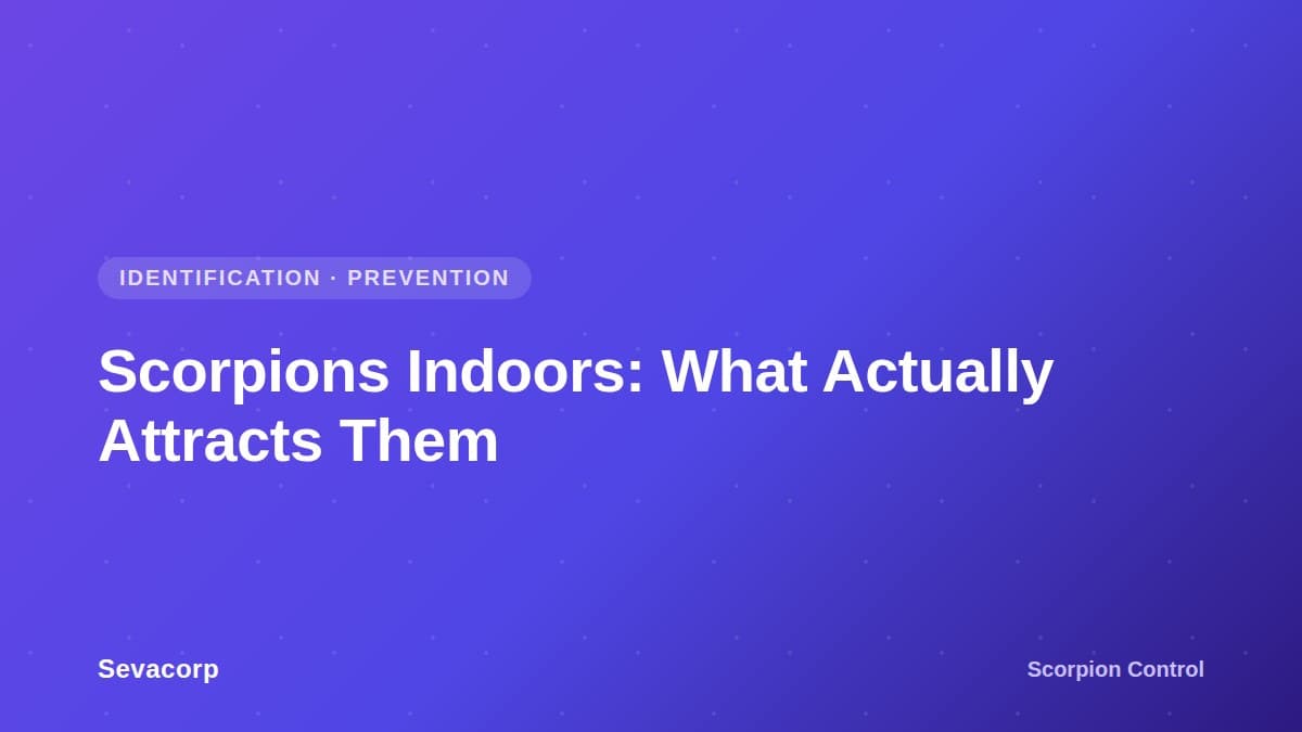 Graphic reading 'Scorpions Indoors: What Actually Attracts Them', tagged Scorpion Control, Identification and Prevention