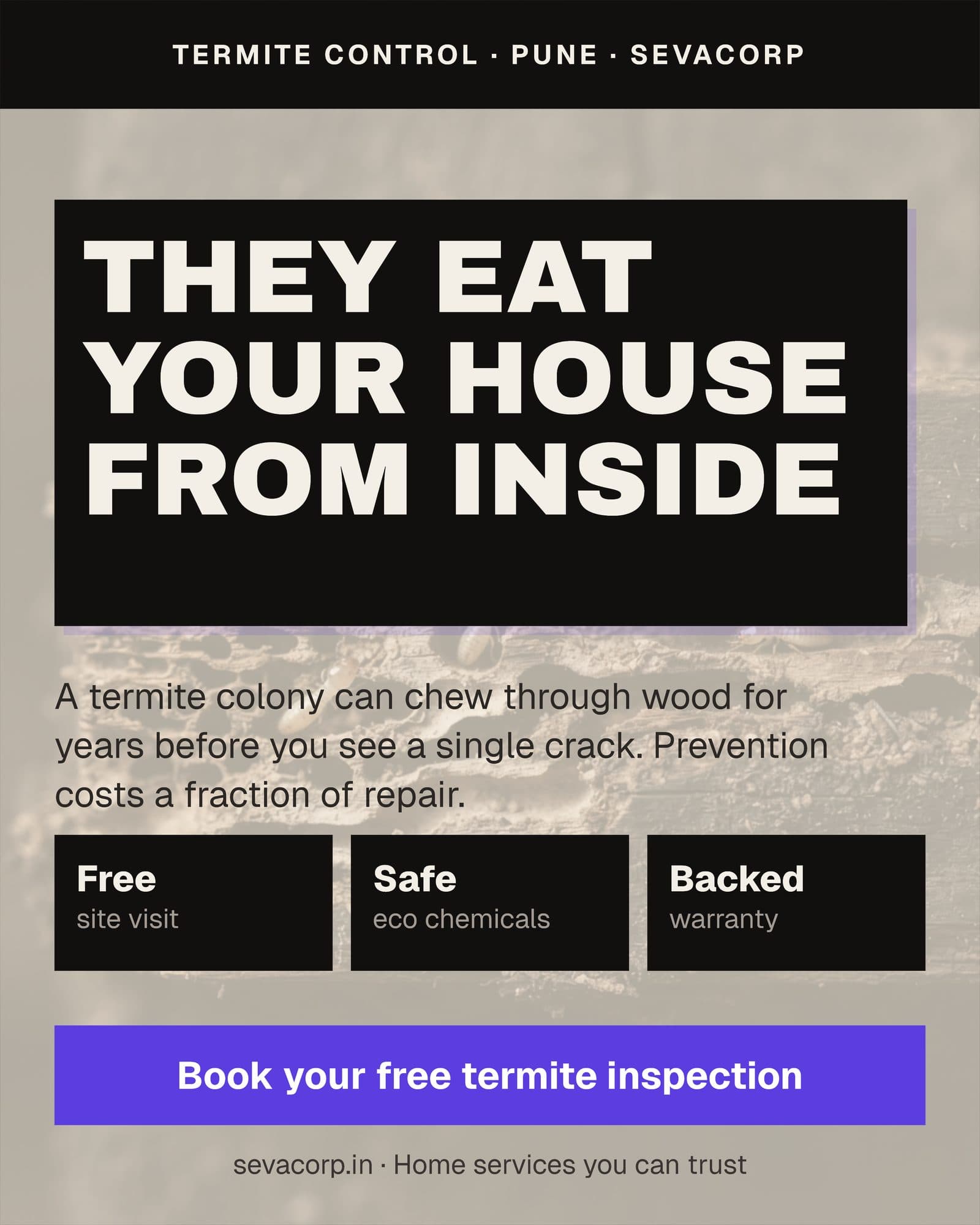 Marketing graphic reading 'they eat your house from inside', explaining that termite colonies can chew through wood for years before visible cracks appear