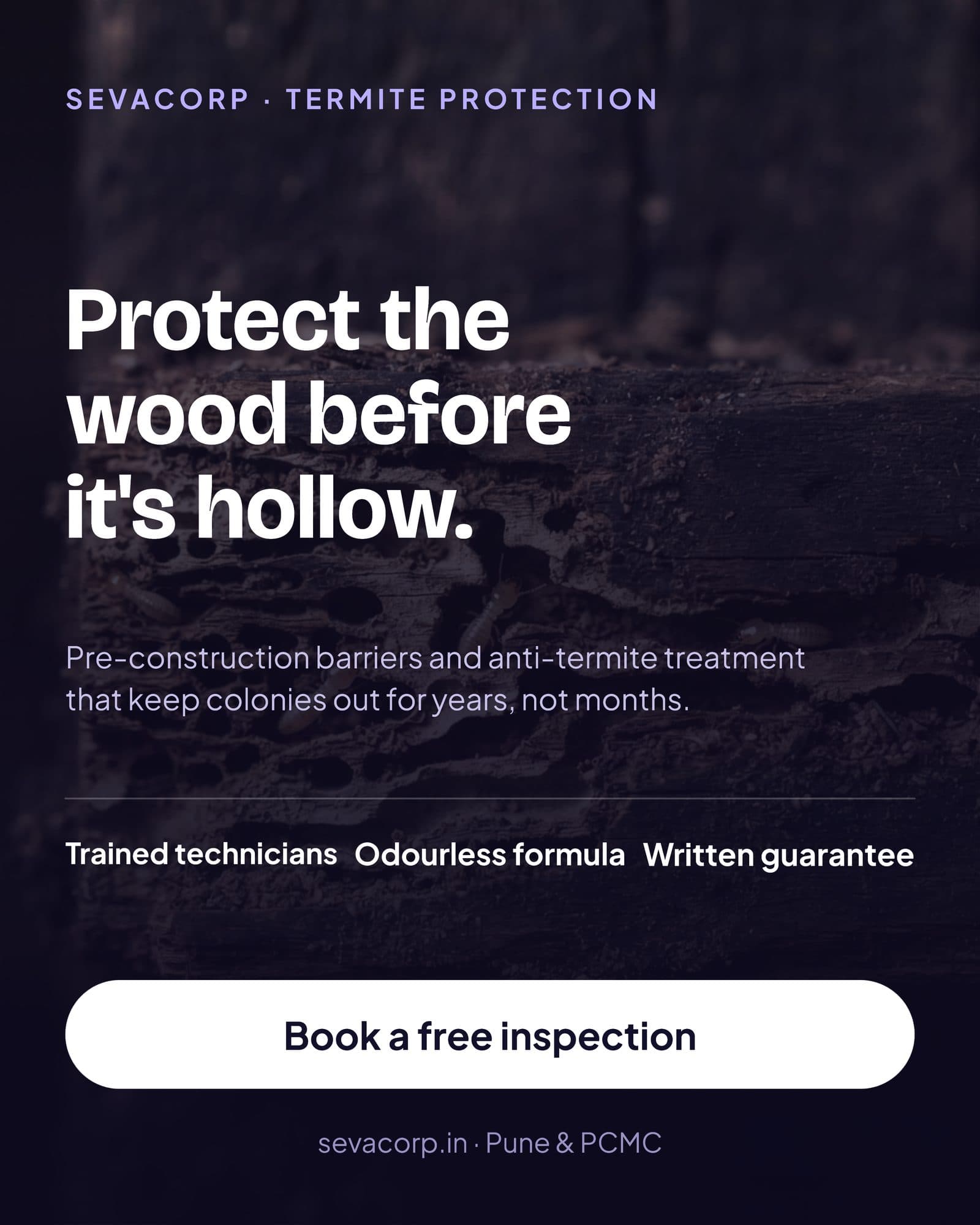 Marketing graphic reading 'protect the wood before it's hollow', listing trained technicians, an odourless formula, and a written guarantee