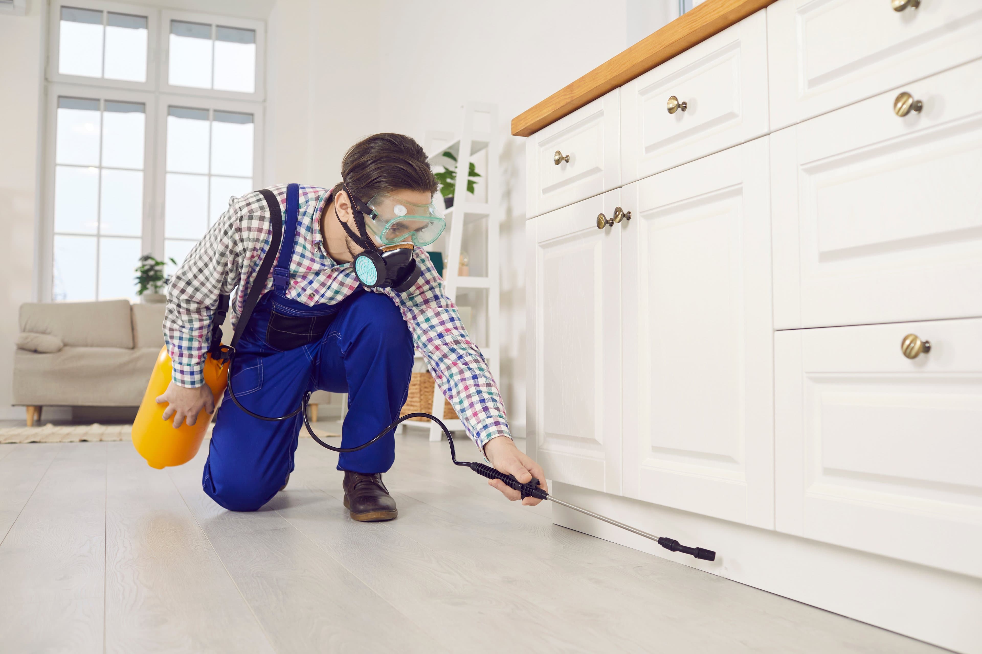 Sevacorp pest control technician treating a home in Pune